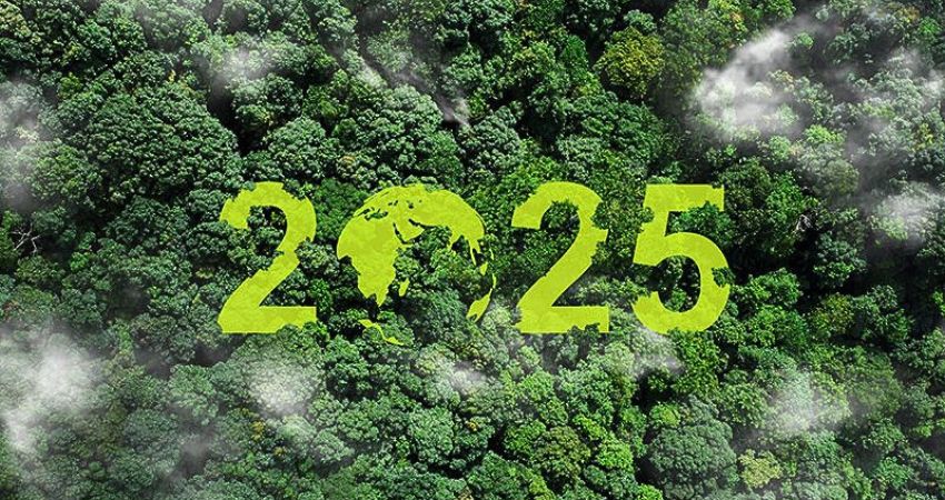 Cum a fost 2025 din perspectiva schimbarilor de mediu